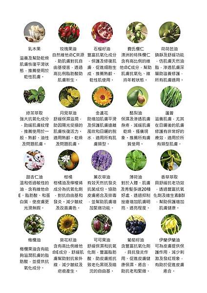 CD1E7944-1C6E-49DF-AA3B-2CD7EADB015B.jpg