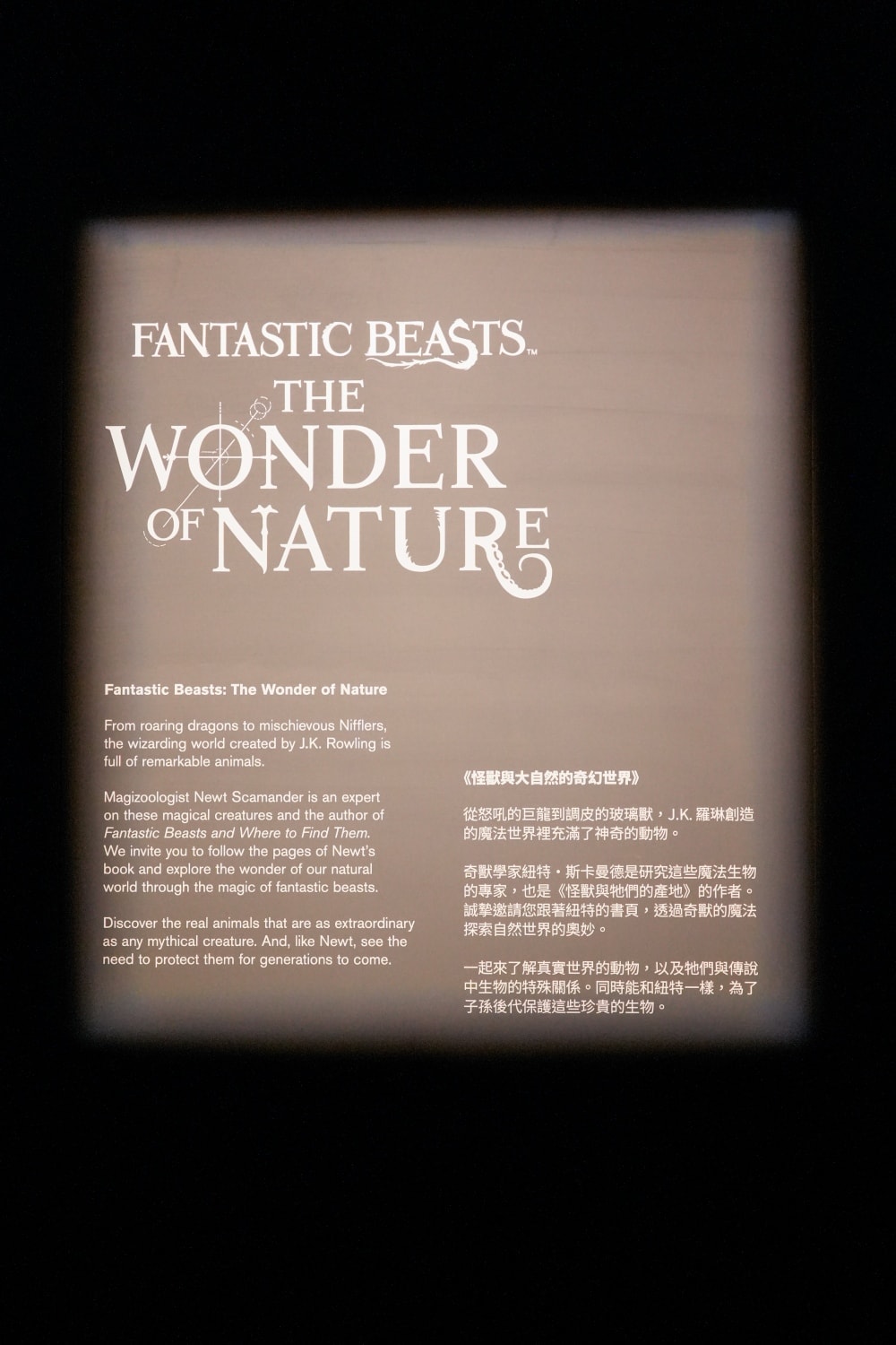 展・台北 中正|怪獸與大自然的奇幻世界|現實與魔法世界的第一次接觸,一起進入魔法的世界吧!電影道具、大英自然史博物館藏大公開!! - 第5張圖