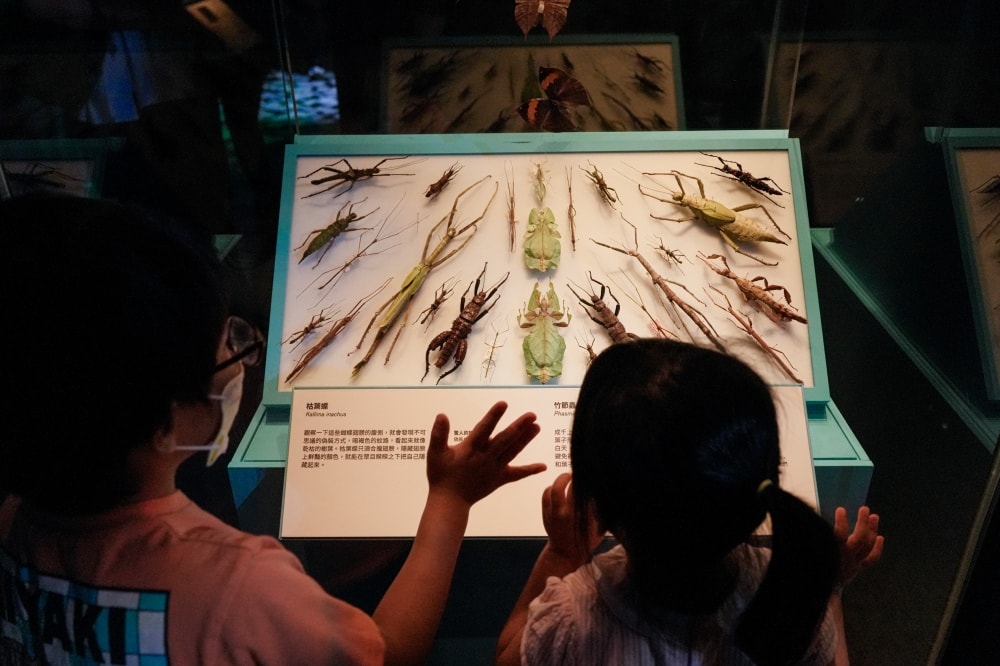 展・台北 中正|怪獸與大自然的奇幻世界|現實與魔法世界的第一次接觸,一起進入魔法的世界吧!電影道具、大英自然史博物館藏大公開!! - 第7張圖
