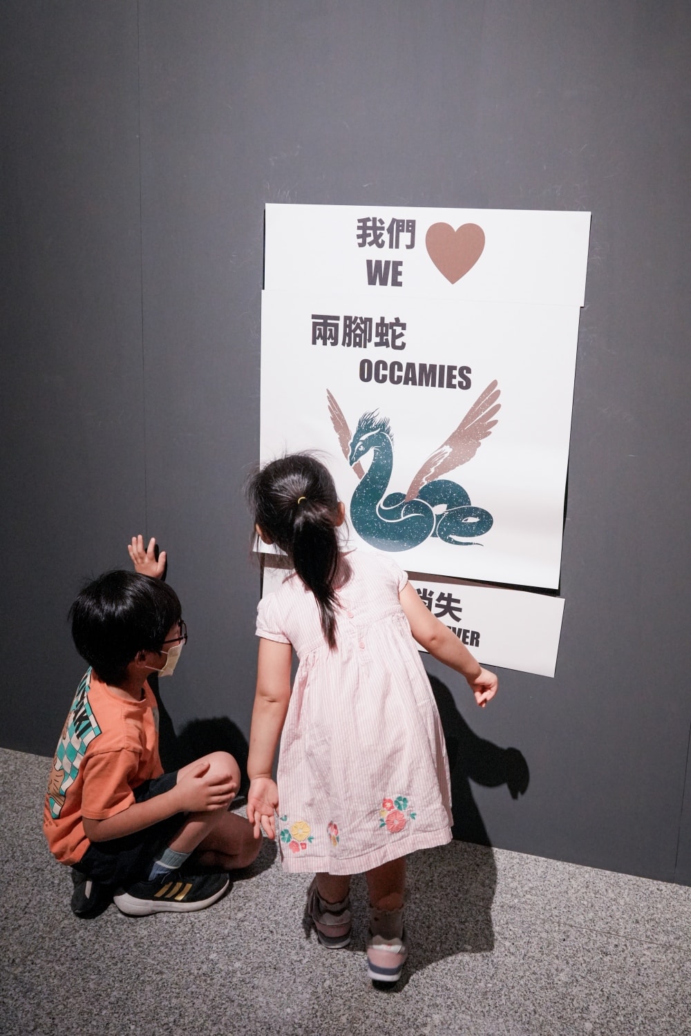 展・台北 中正|怪獸與大自然的奇幻世界|現實與魔法世界的第一次接觸,一起進入魔法的世界吧!電影道具、大英自然史博物館藏大公開!! - 第14張圖