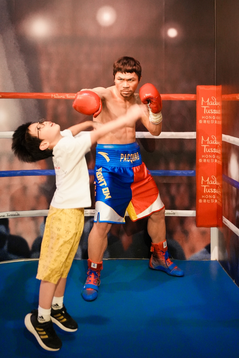 旅・香港|多久沒帶爸媽出遊了?這次,我們選擇了香港,輕鬆自在快樂玩,不遠不貴也不累! - 第24張圖